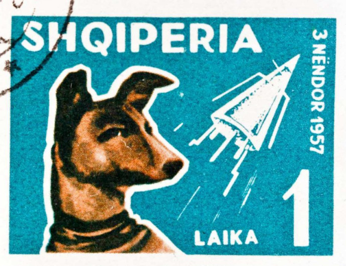 1957. november 3. | Lajka a világűrben